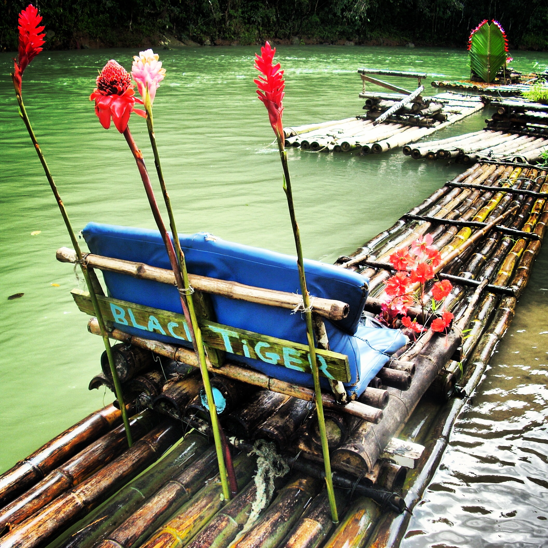 Bamboo Rafting