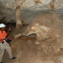 Green Grotto Caves