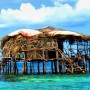 Pelican Bar